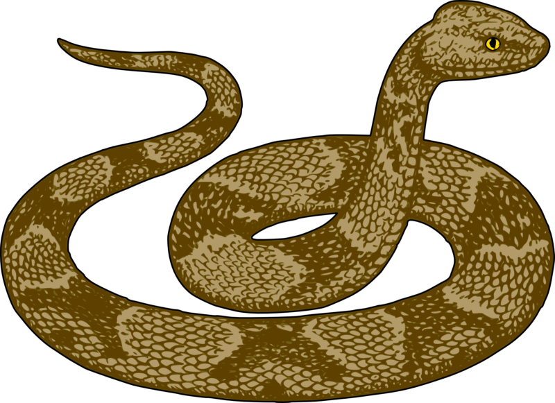 Free clipare black and. Mouth clipart snake