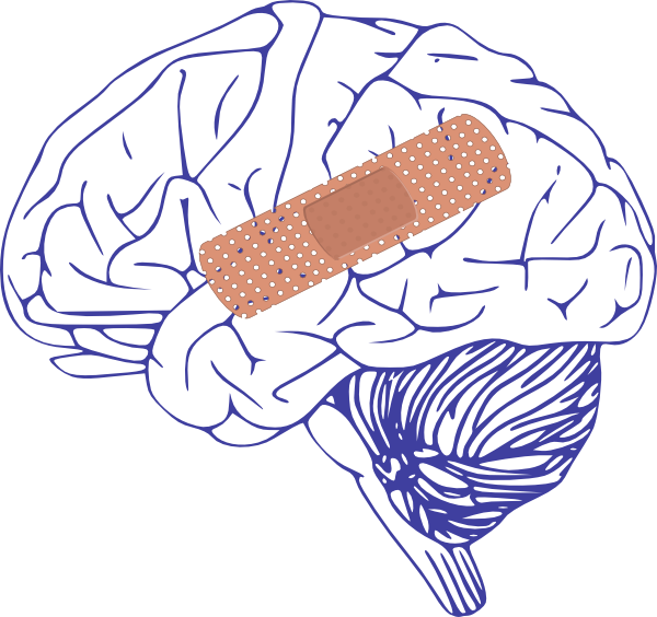 clipart box brain