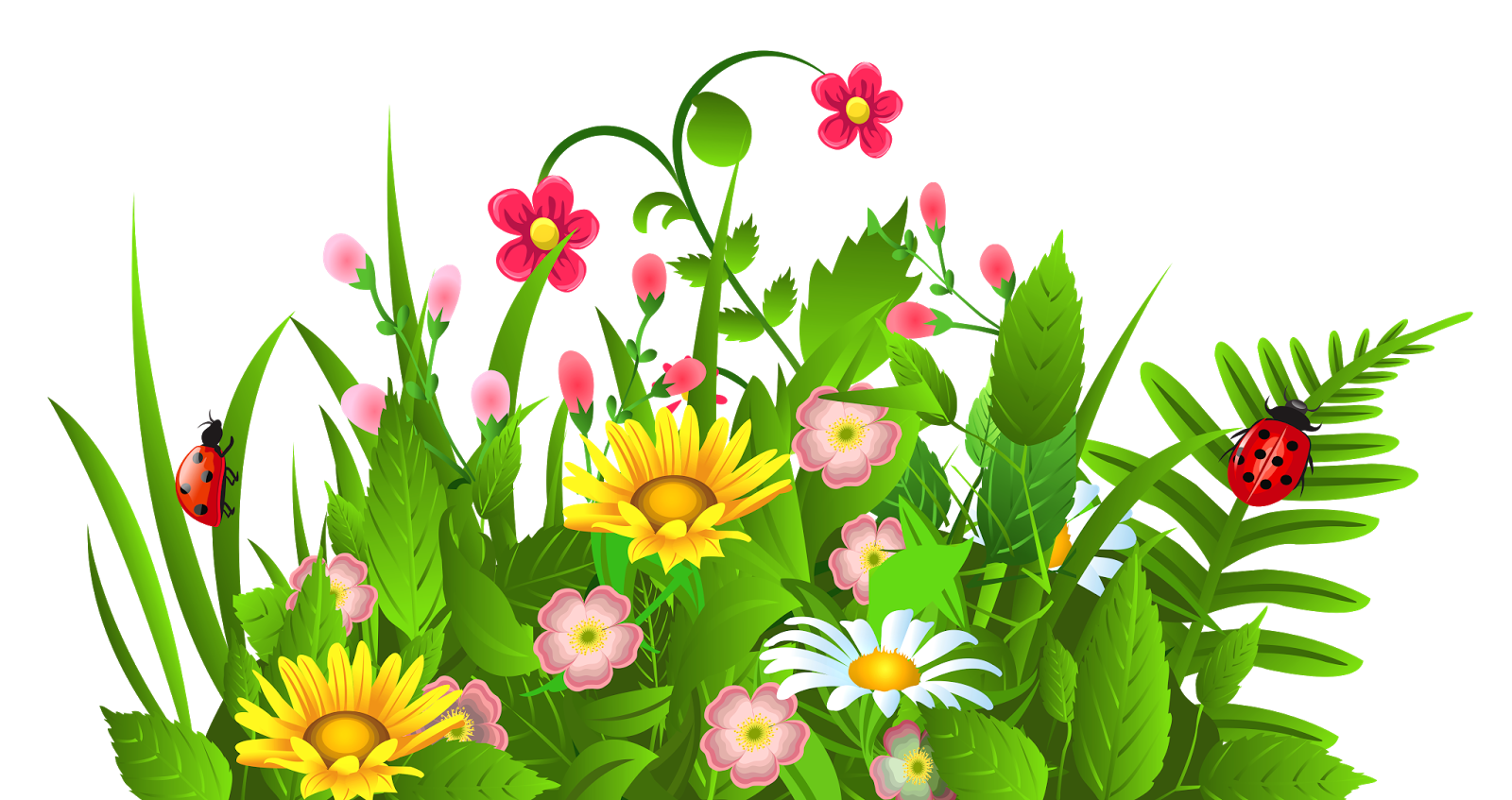 outdoors clipart divider