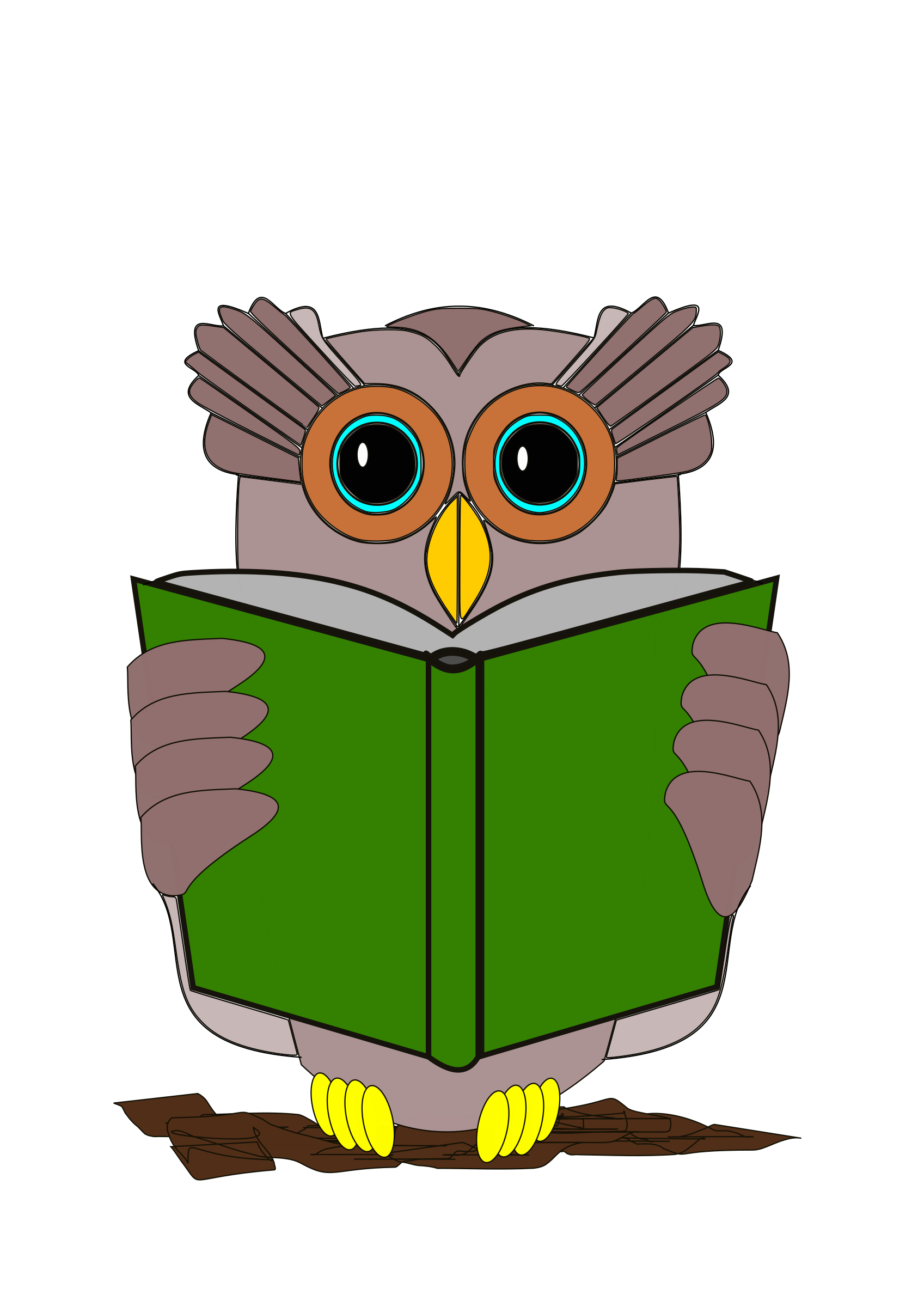 The owl is a. Clipart science reading