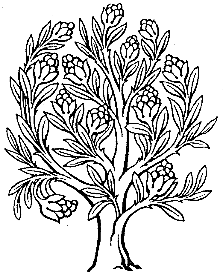 Enchanted tree clip art. Hydrangea clipart black and white