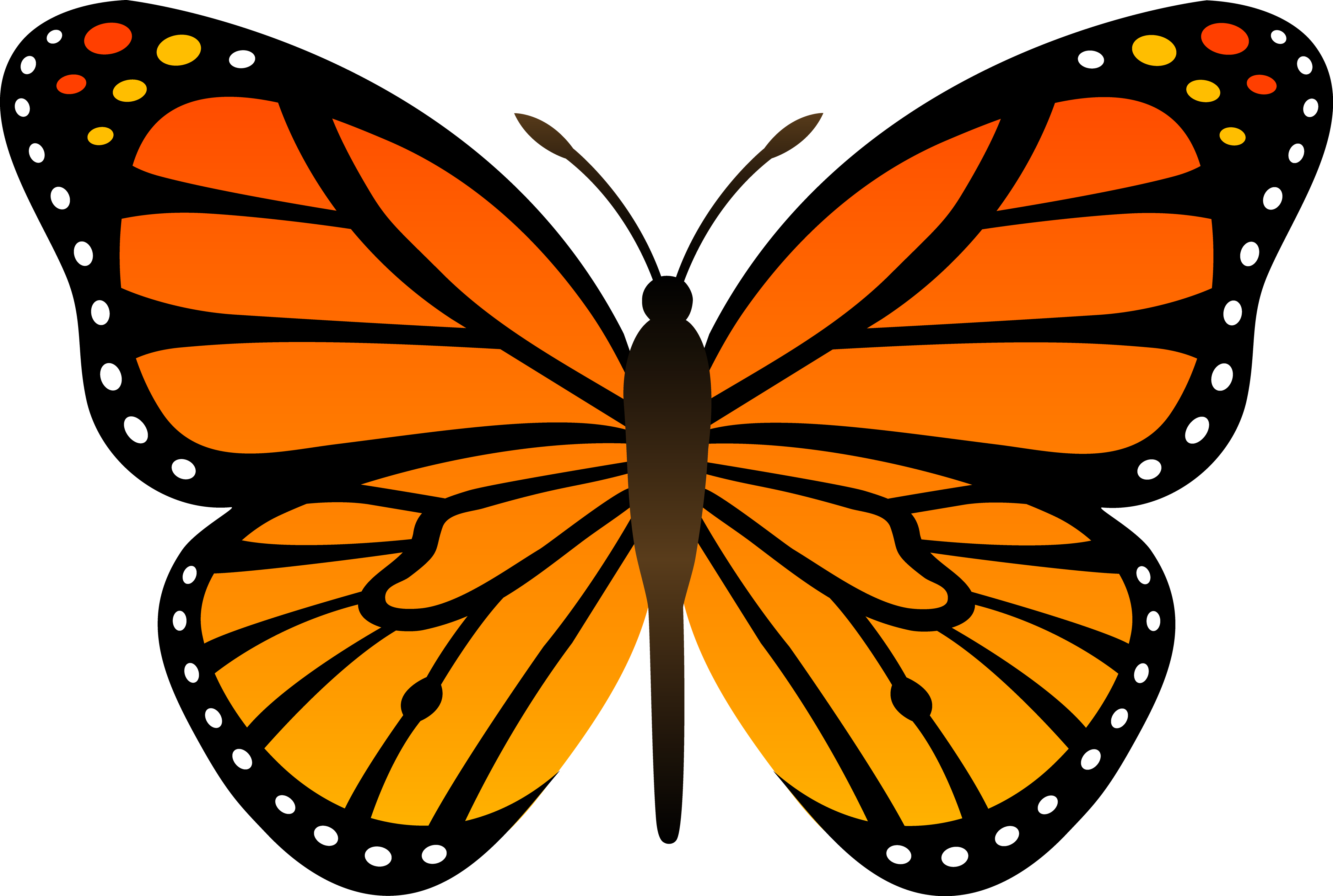 Insect clipart jungle. Butterfly fourteen isolated stock