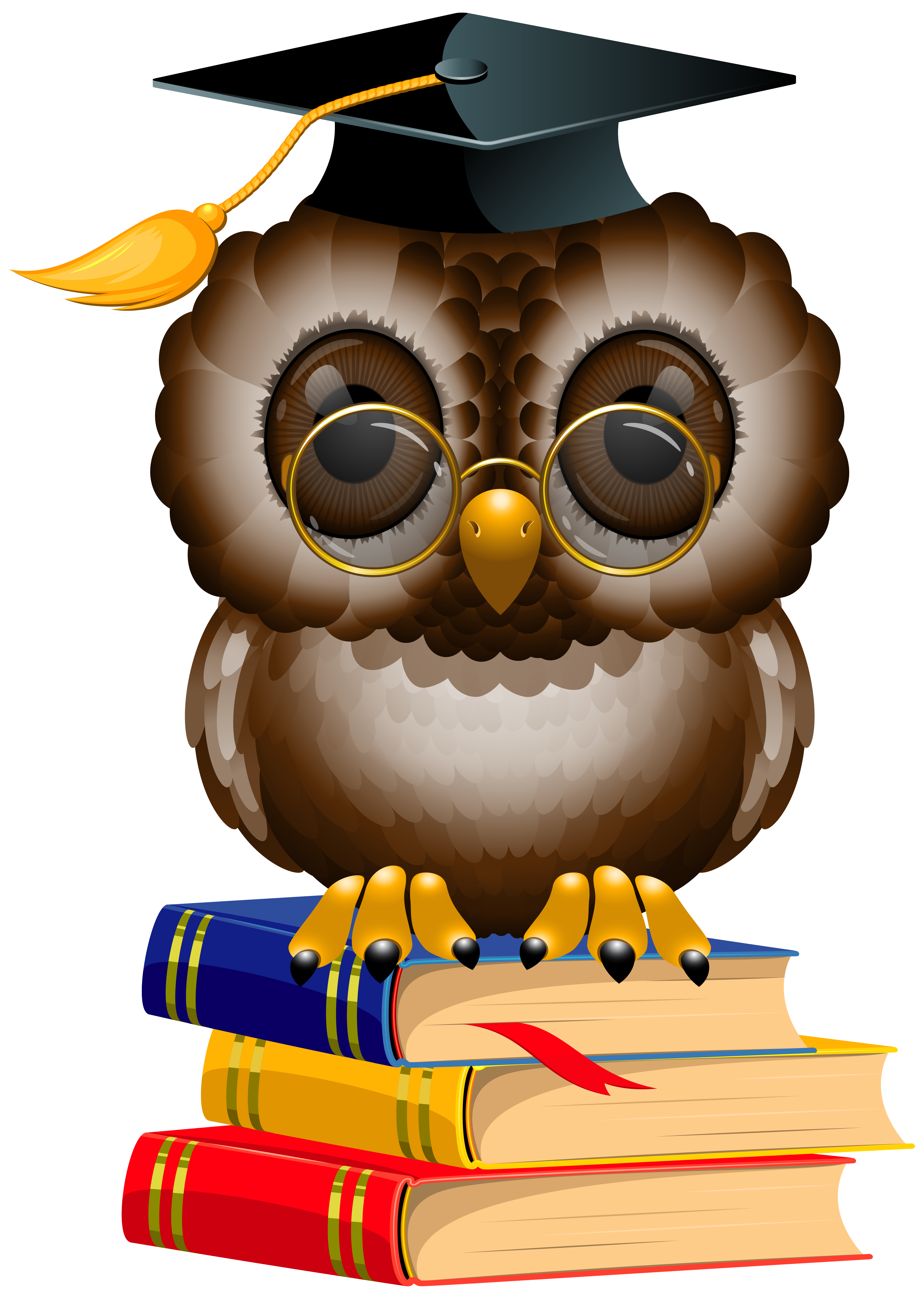 Owls clipart school. Owl with books and