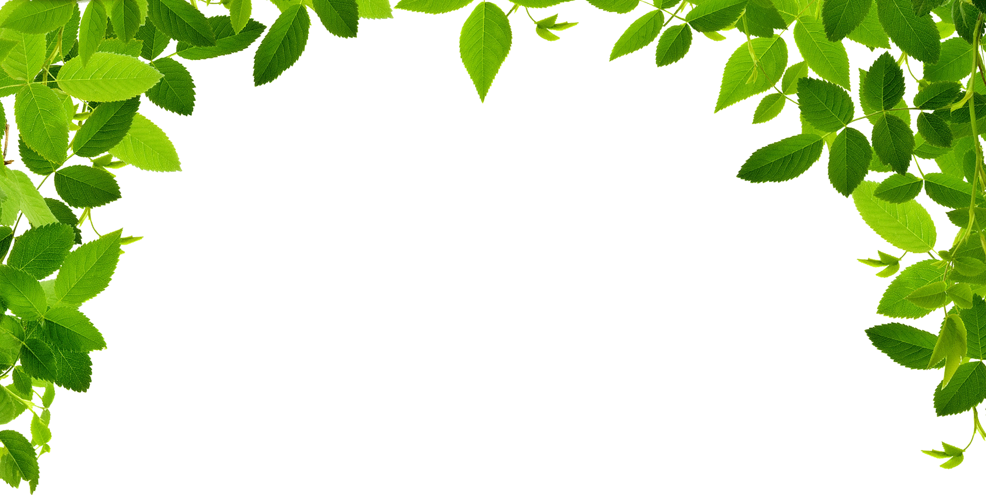 Clipart leaf boarder. Image a e bbd