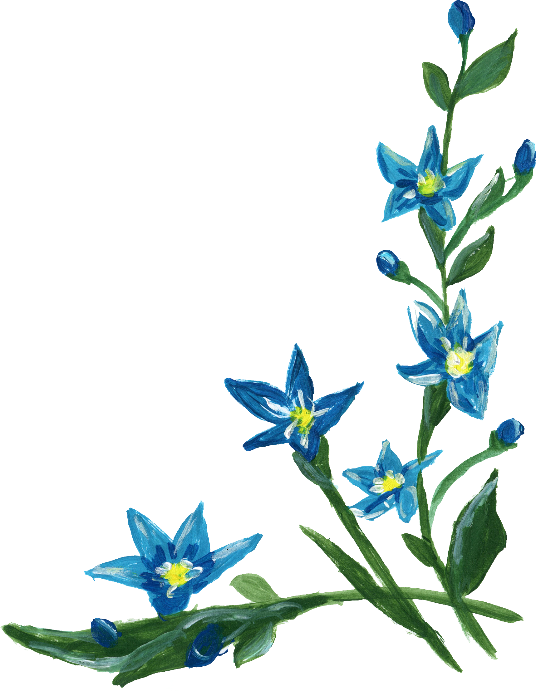 Clipart border blue flower. Clip art transprent png