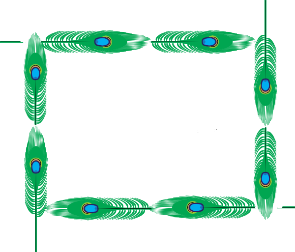 Peacock border page clip. Clipart science borders