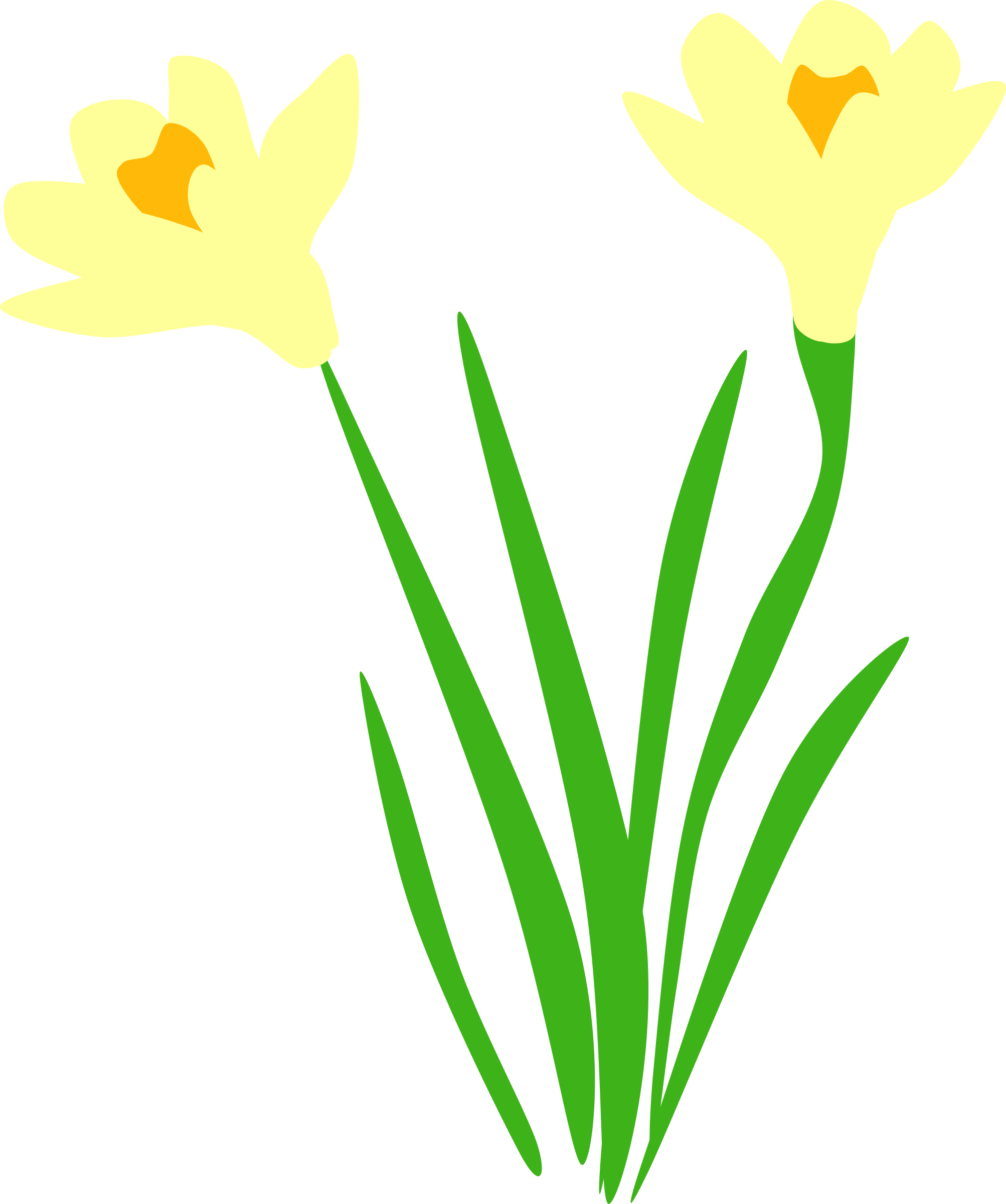 clipart border daffodil