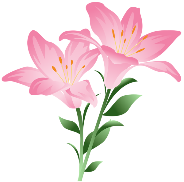 Clipart flower sticker. Pink lilium png picture