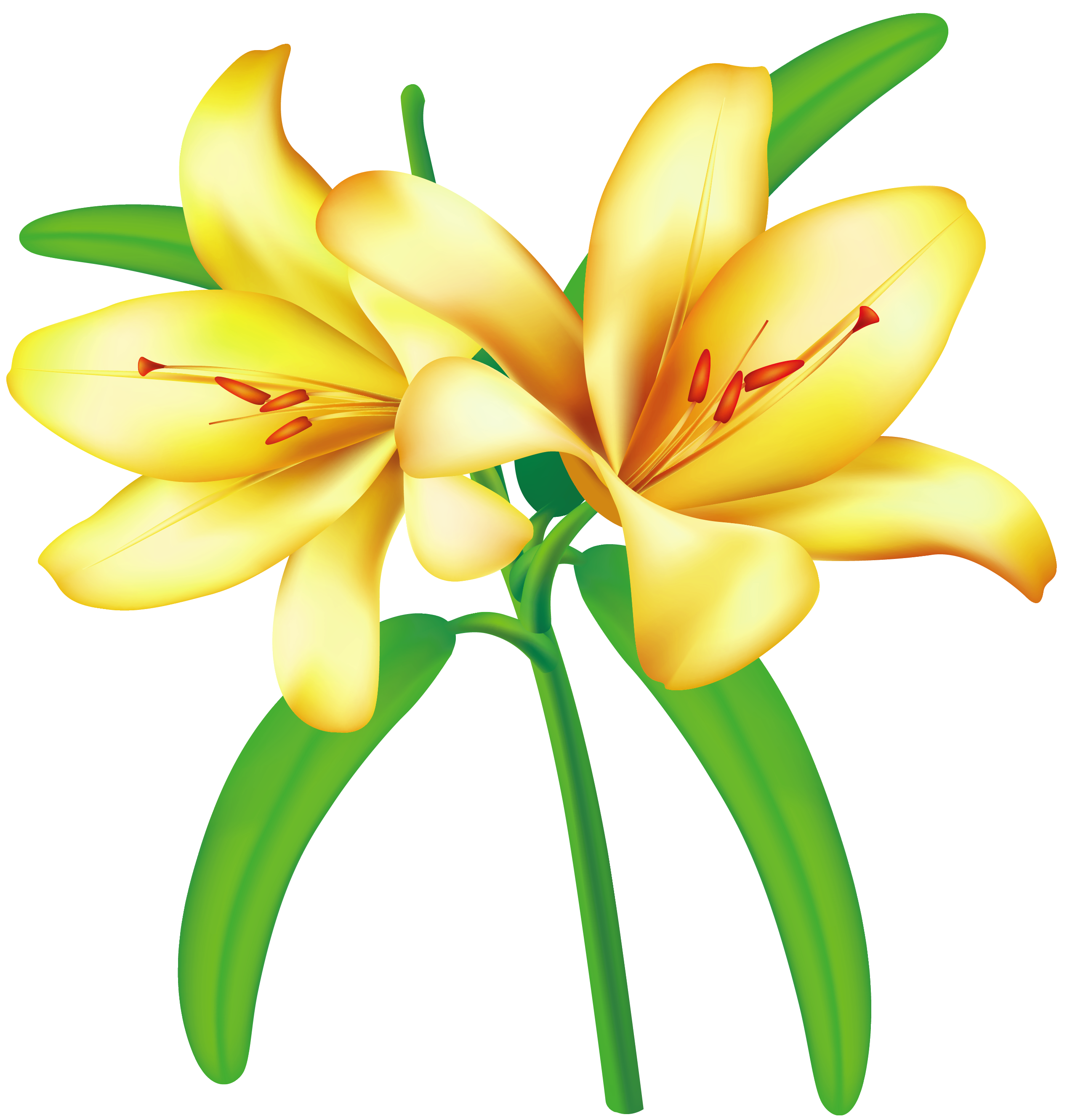 lily clipart yellow