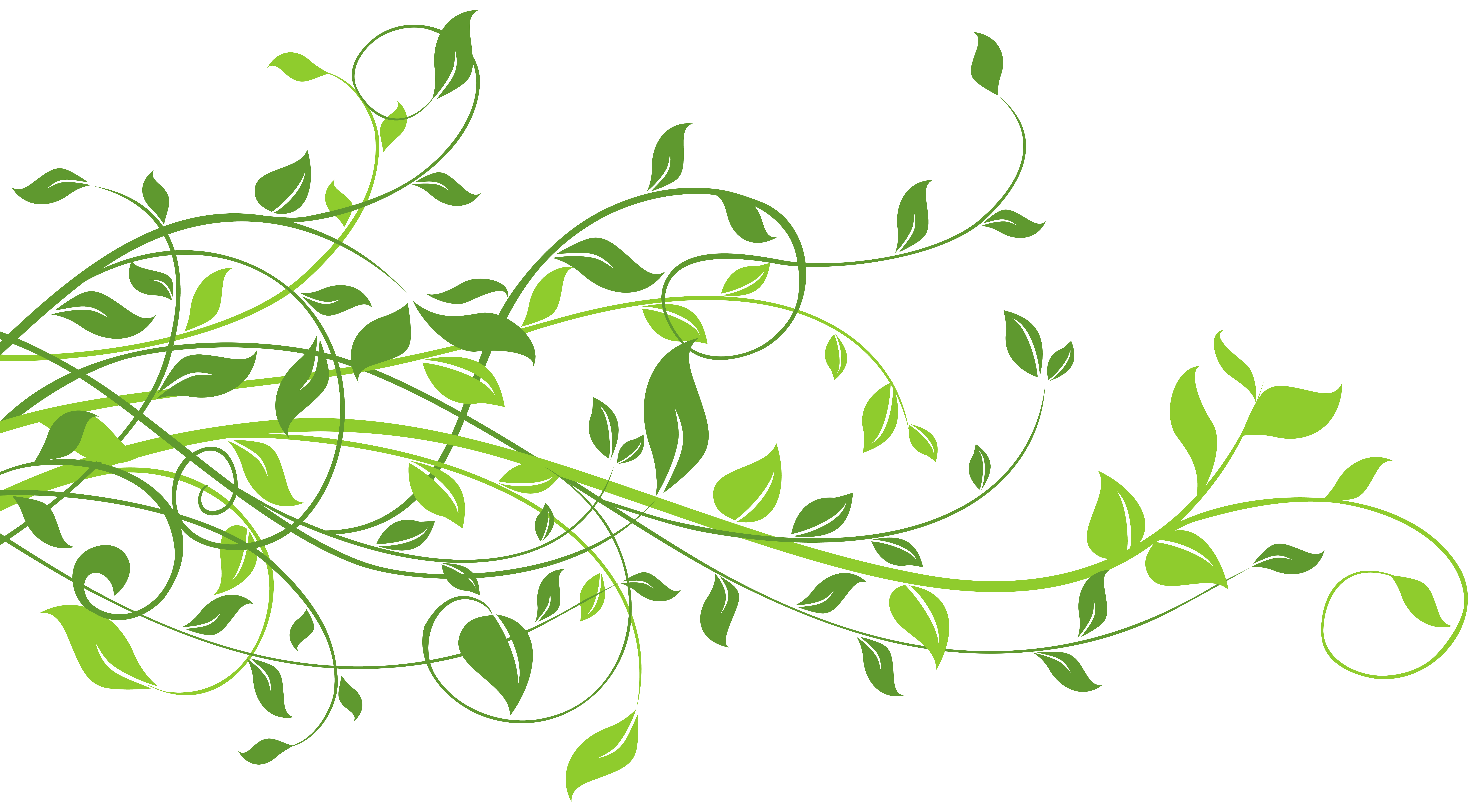 Ivy clipart curved branch. Spring decor with leaves