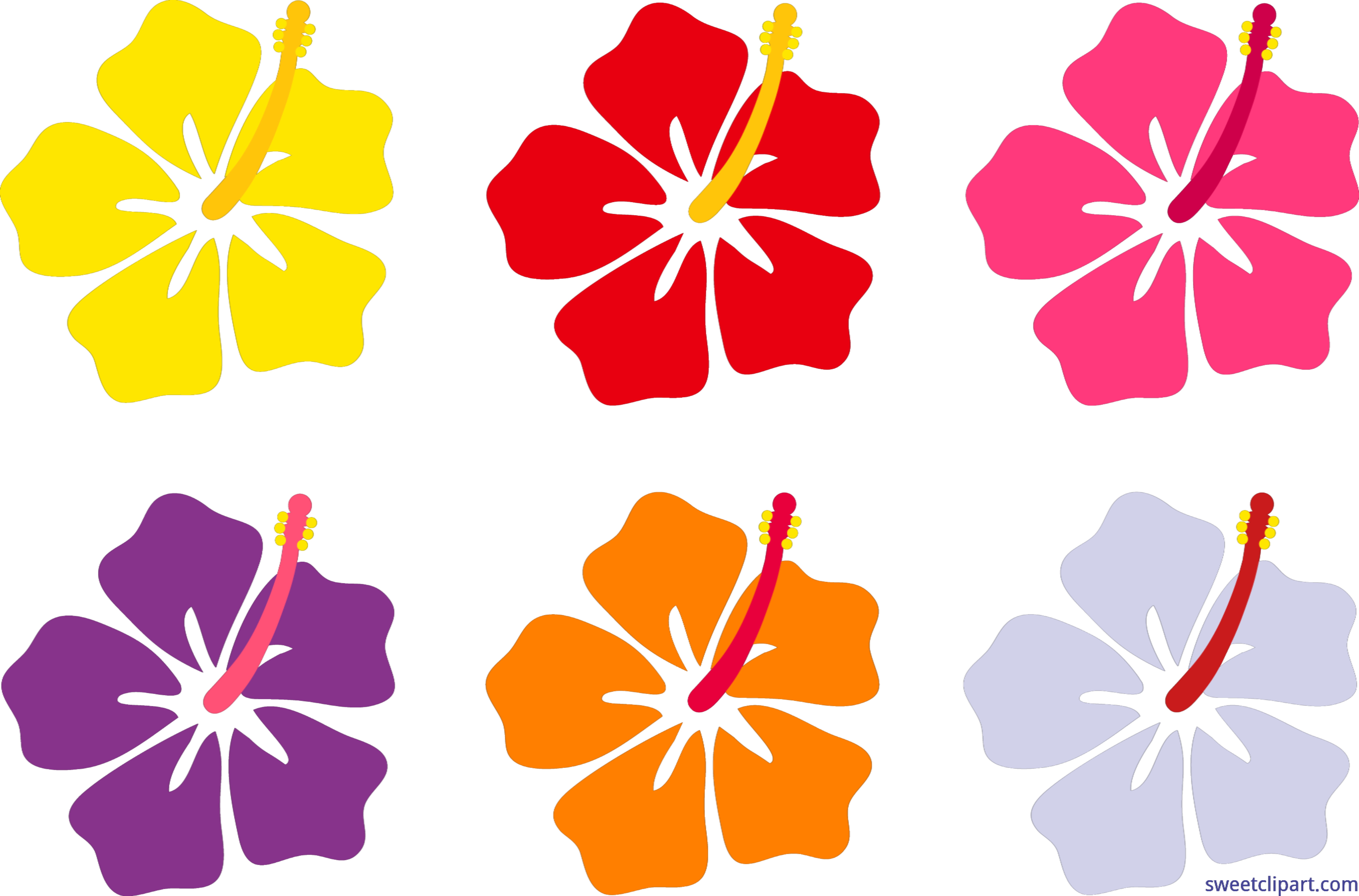 Flowers set clip art. Hibiscus clipart hawaian