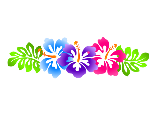 File luau clip art. Hibiscus clipart flower boarder