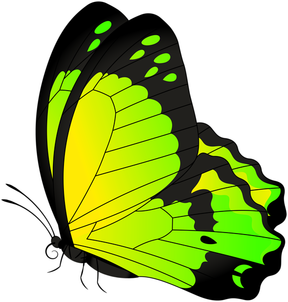 leaf clipart butterfly
