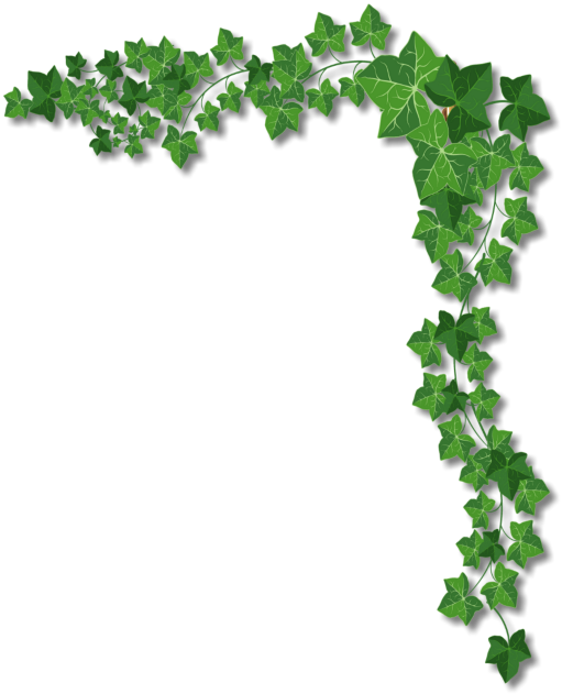 clipart border ivy
