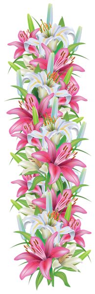 lily clipart flower bokeh