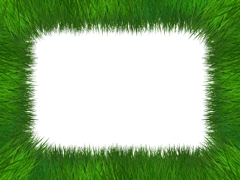 Frame isolated with transparent. Grass border png
