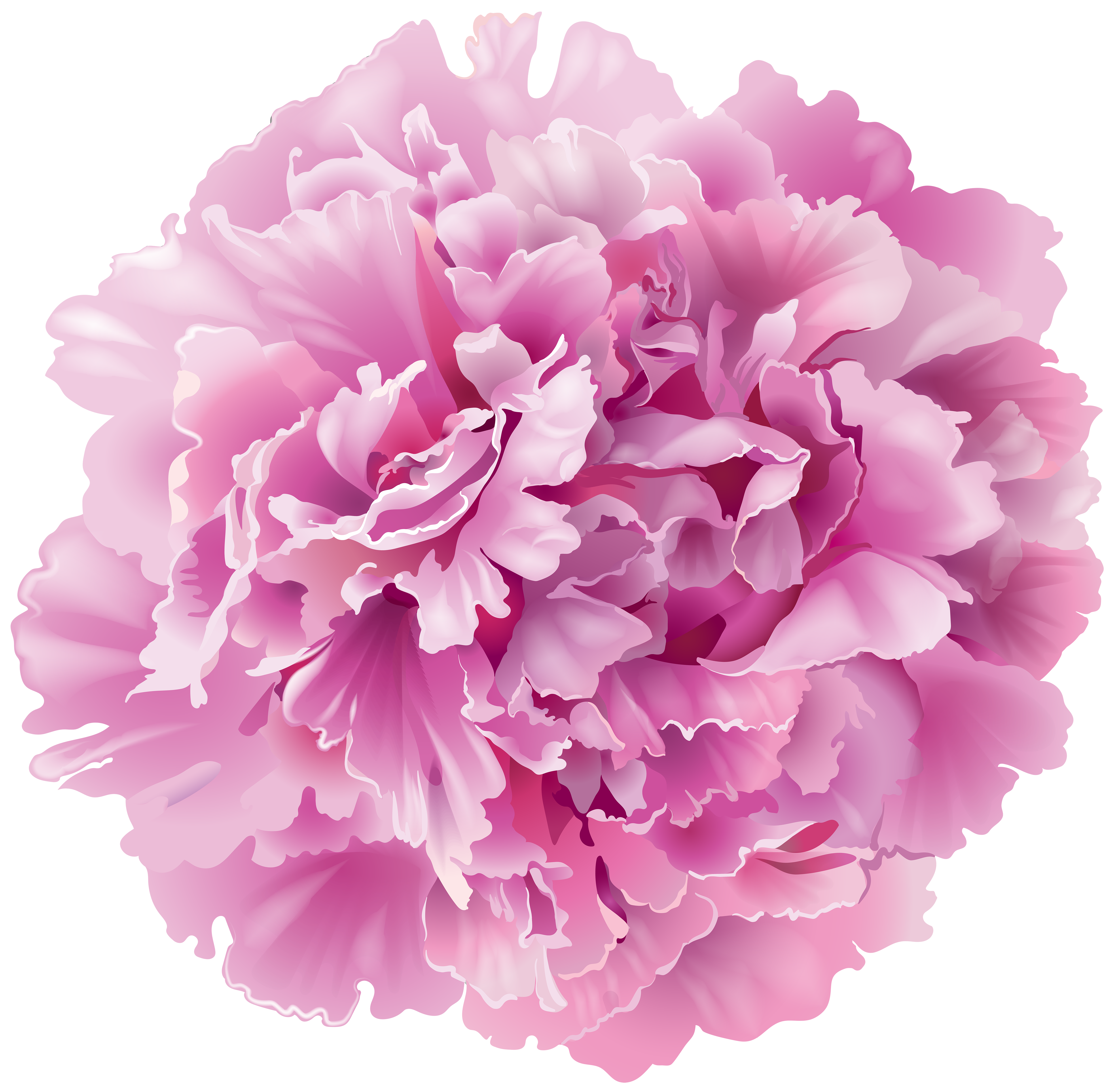 Peony transparent clip art. Chinese flower png