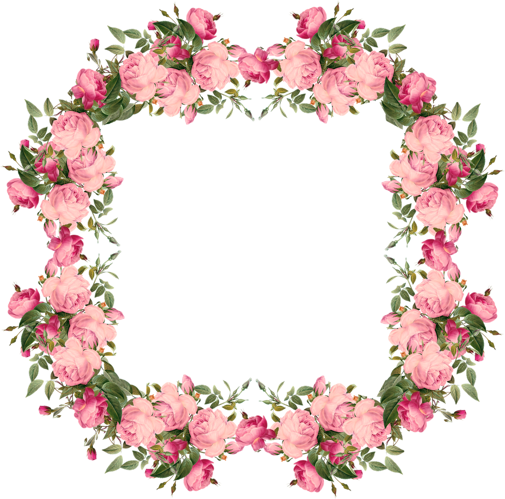 Clipart borders pink rose, Clipart borders pink rose ...