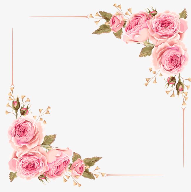 rose clipart boarder
