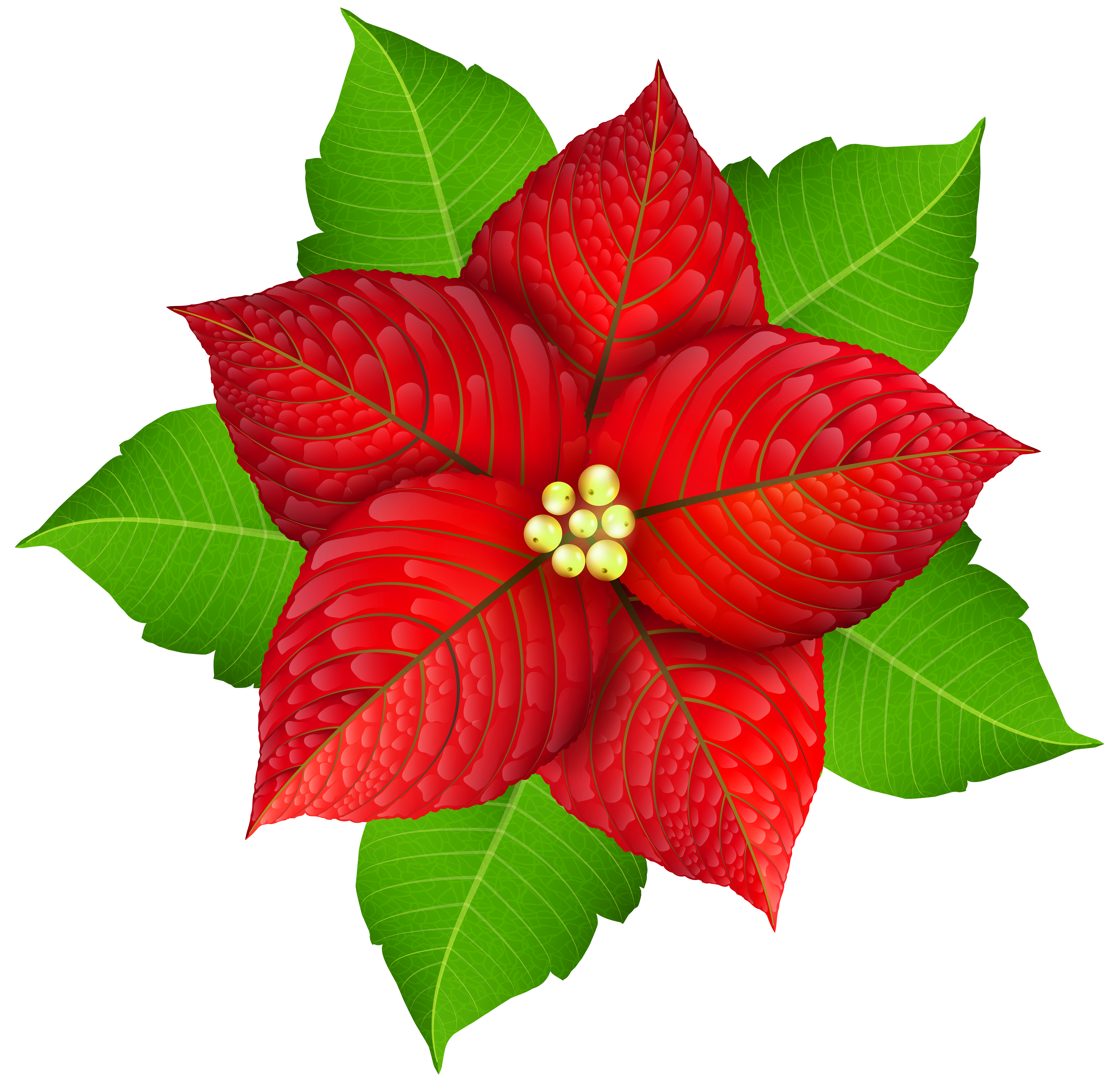 Poinsettia clipart poinsetta. Christmas transparent png image