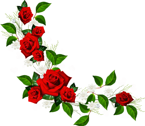 Decorative clipart vine. Element with red roses