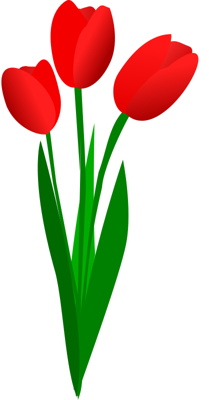 The top best blogs. Clipart border tulip