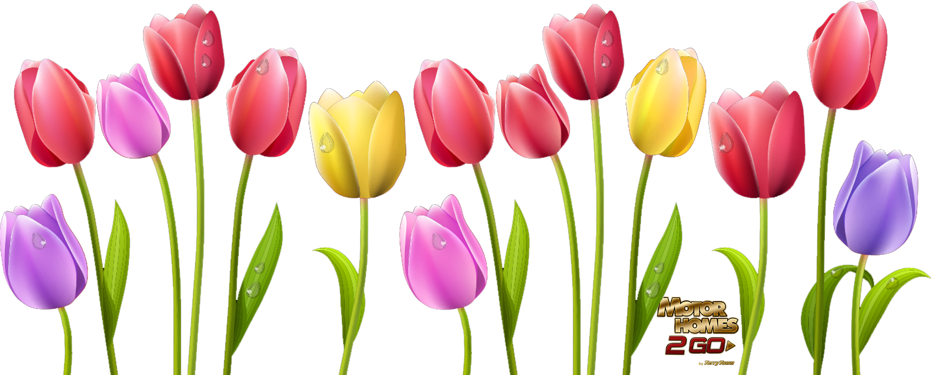 Clipart free tulip. Jokingart com flower 