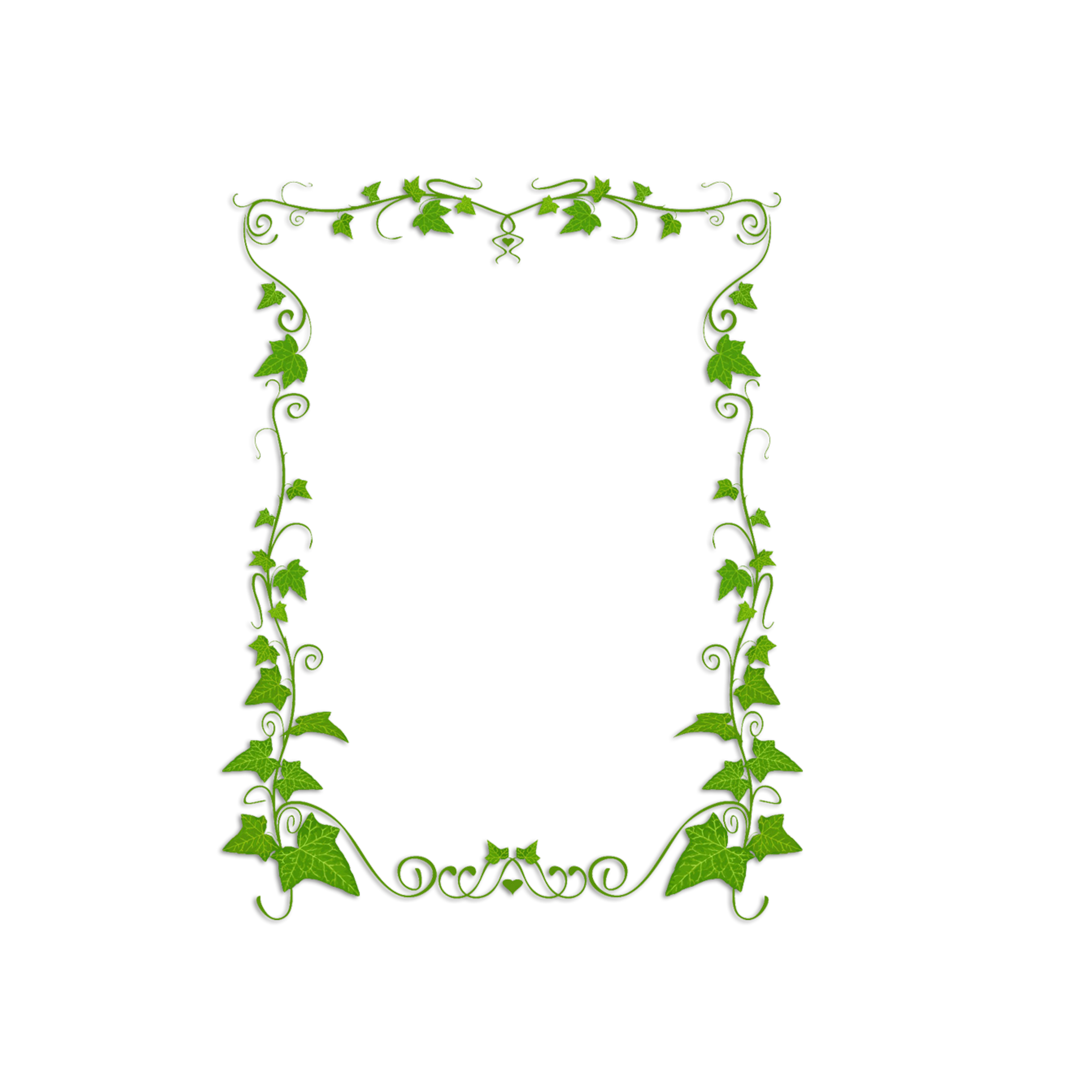 Common ivy plant vine. Clipart leaf boarder