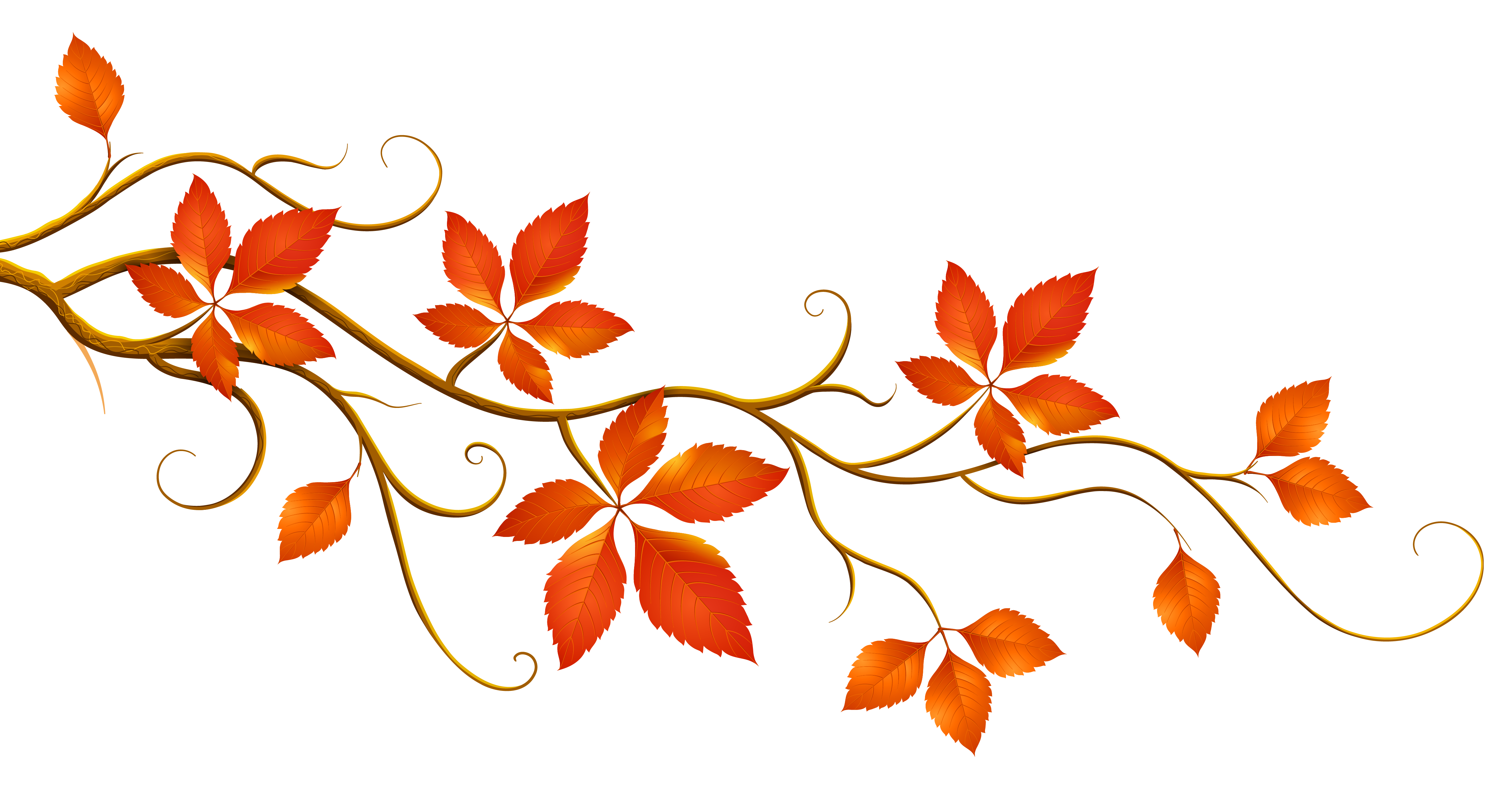 Decorative branch with leaves. Floral clipart autumn