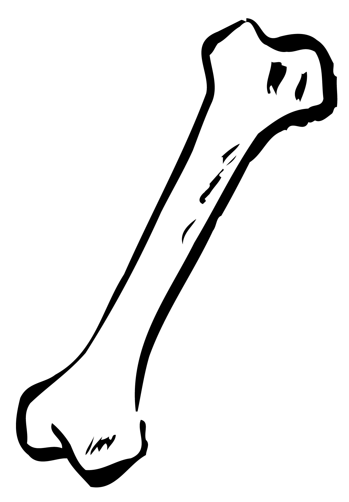 Skeleton clipart arm bone. Dog border panda free
