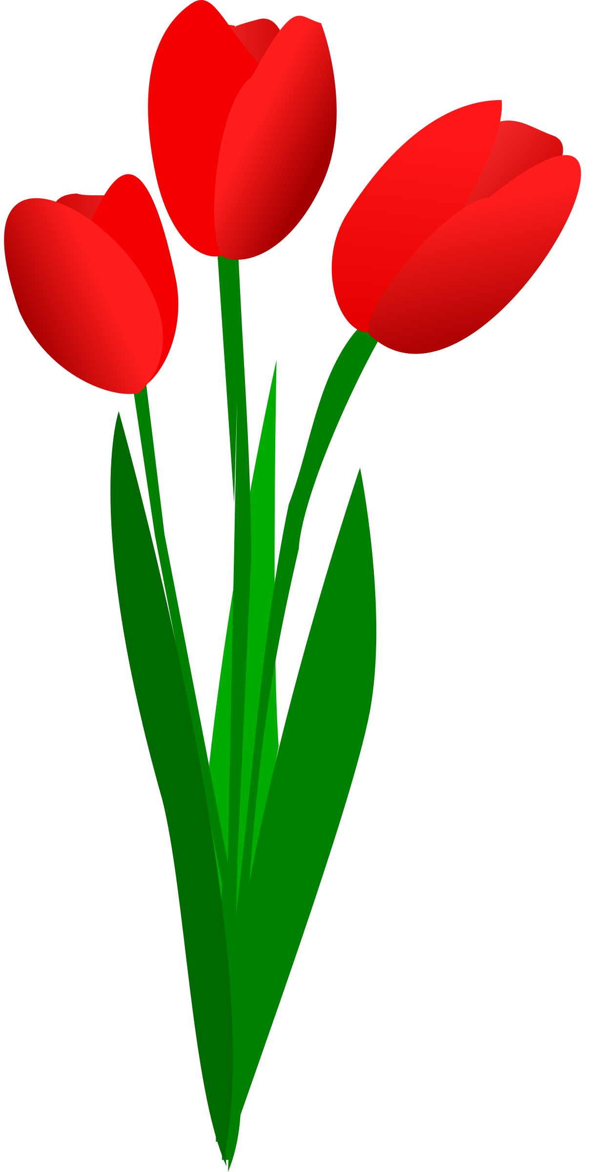 Three red tulips hoa. Clipart easter tulip