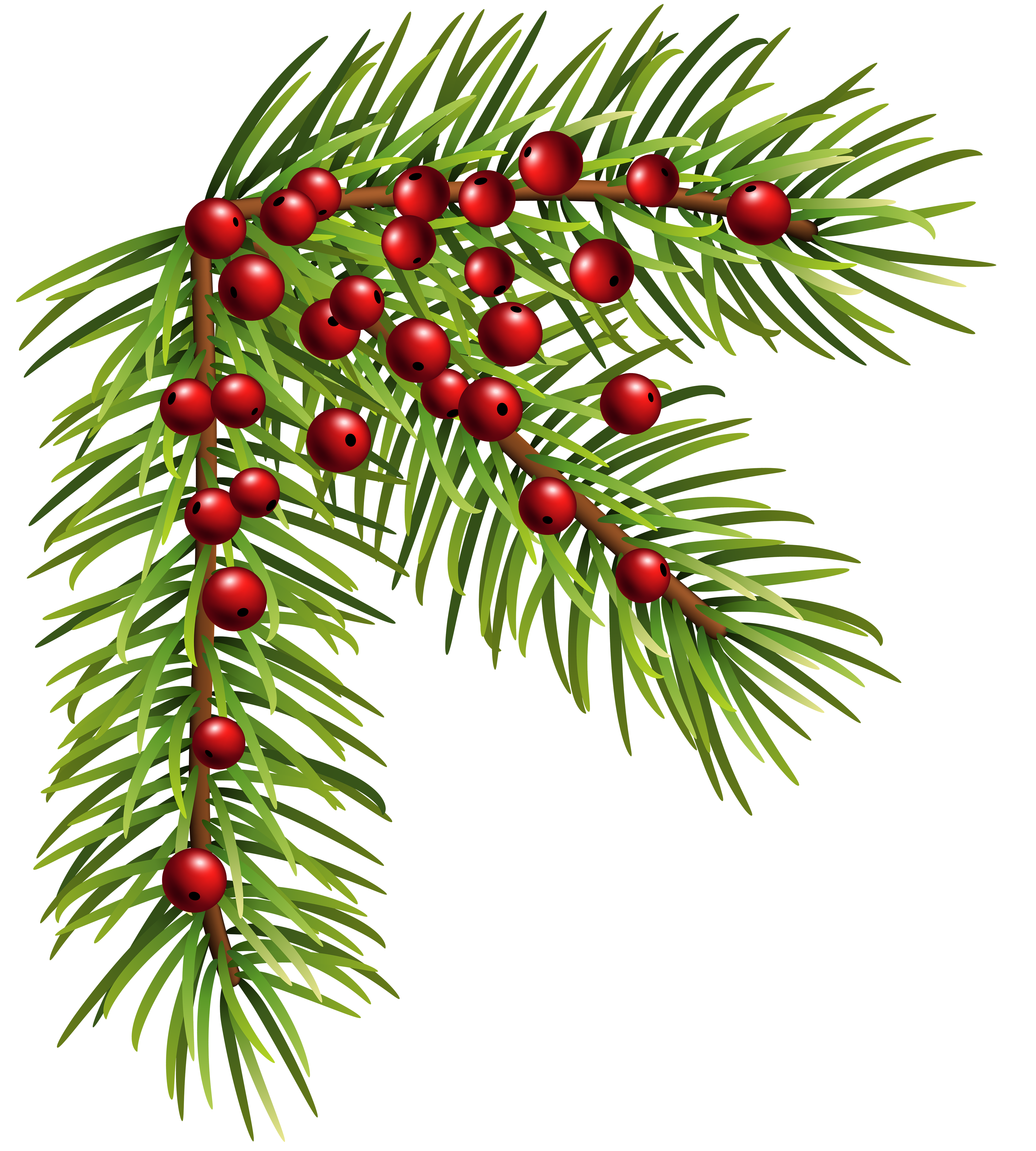 clipart bow pine