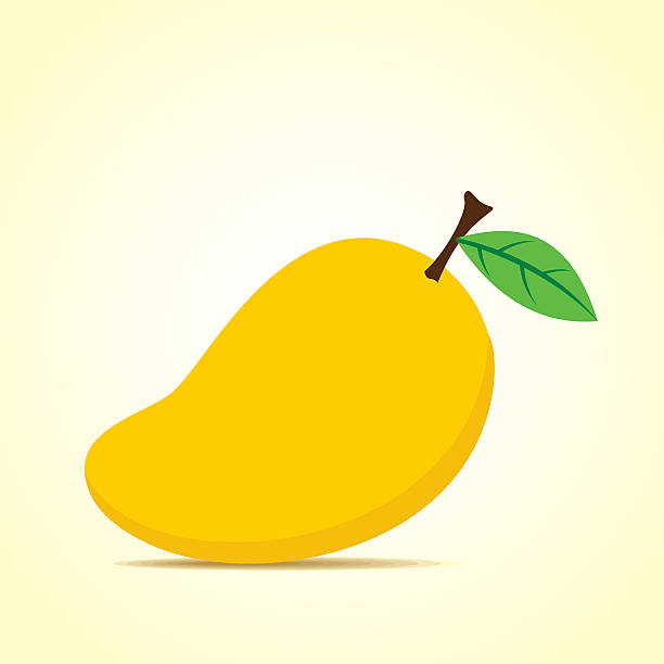 mango clipart 10 mango