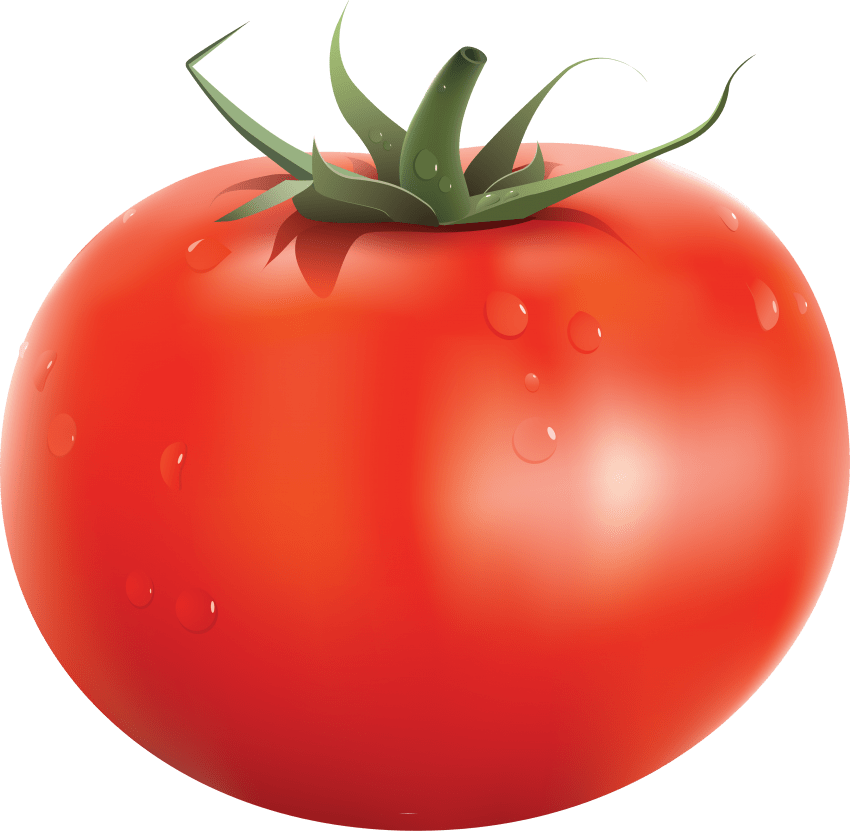 cute clipart tomato