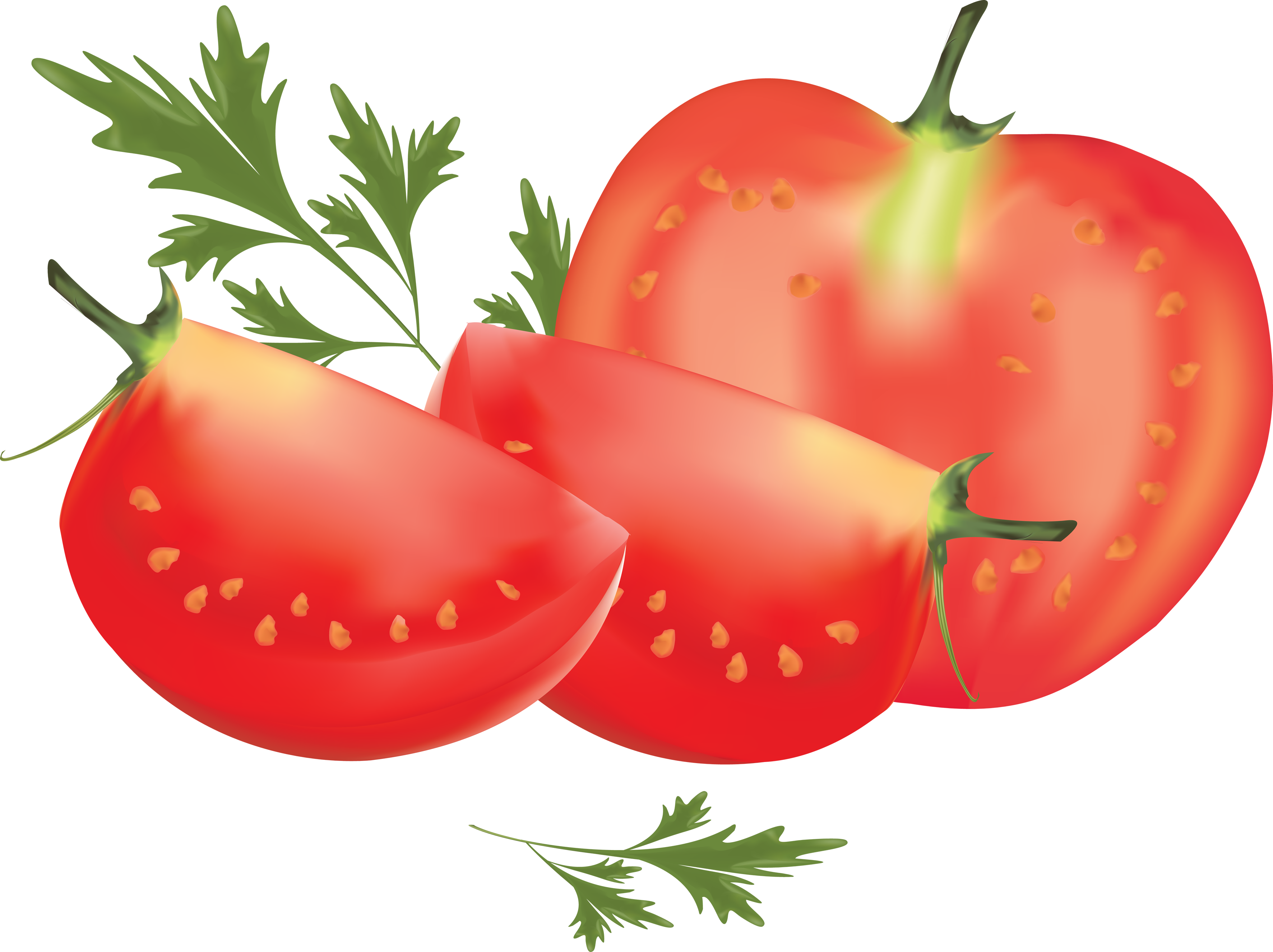 Clipart png tomato. Image without background web