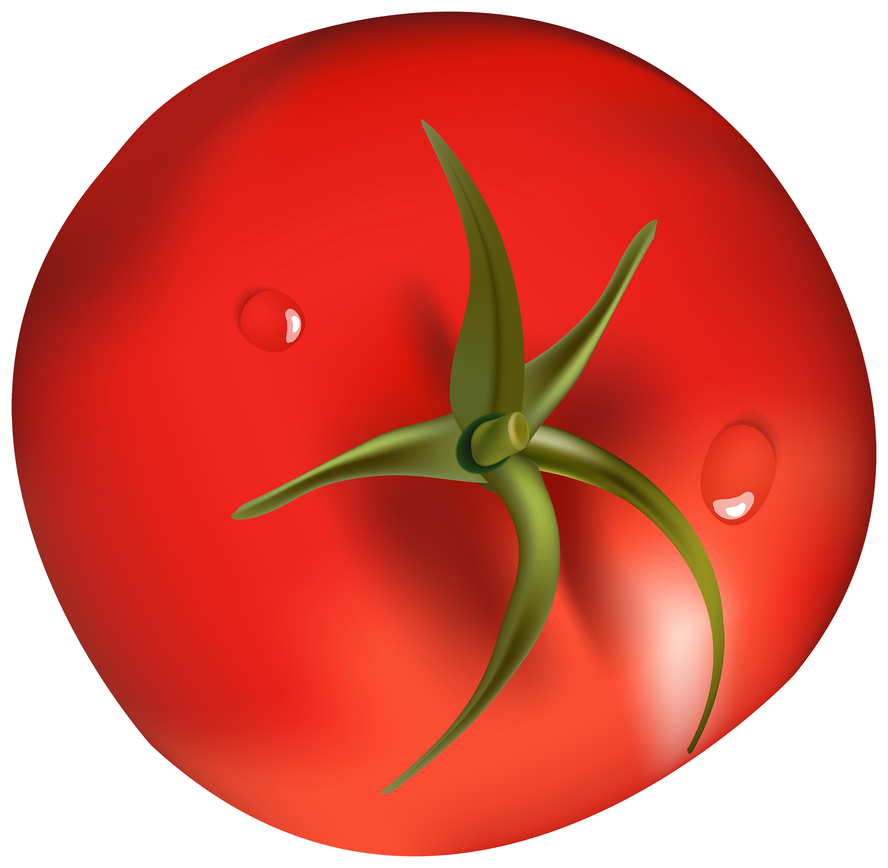 Clipart vegetables tomato. Png best web