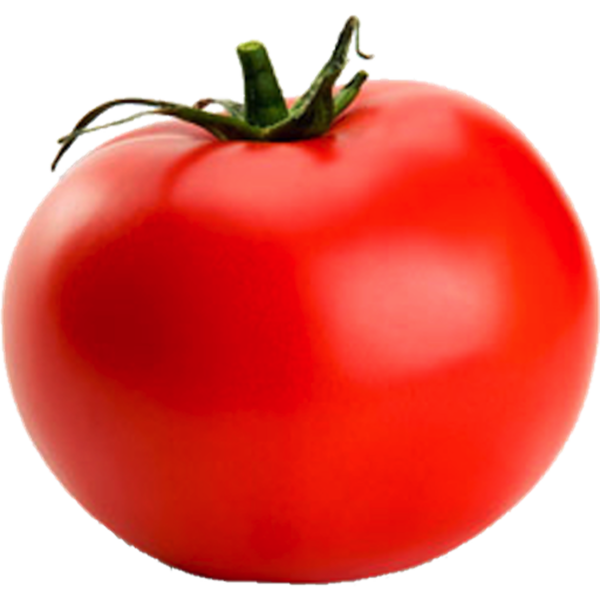Tomato free images at. Tomatoes clipart vector