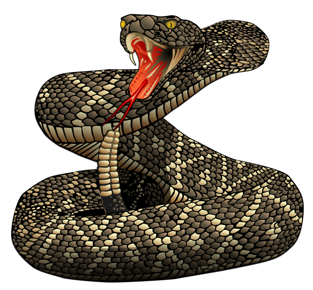 clipart snake venomous snake