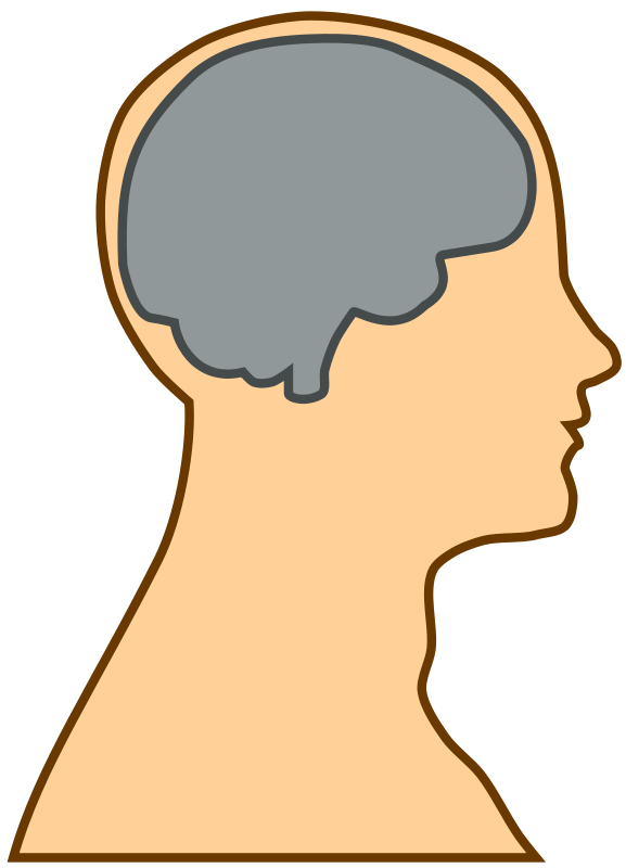 clipart brain animated