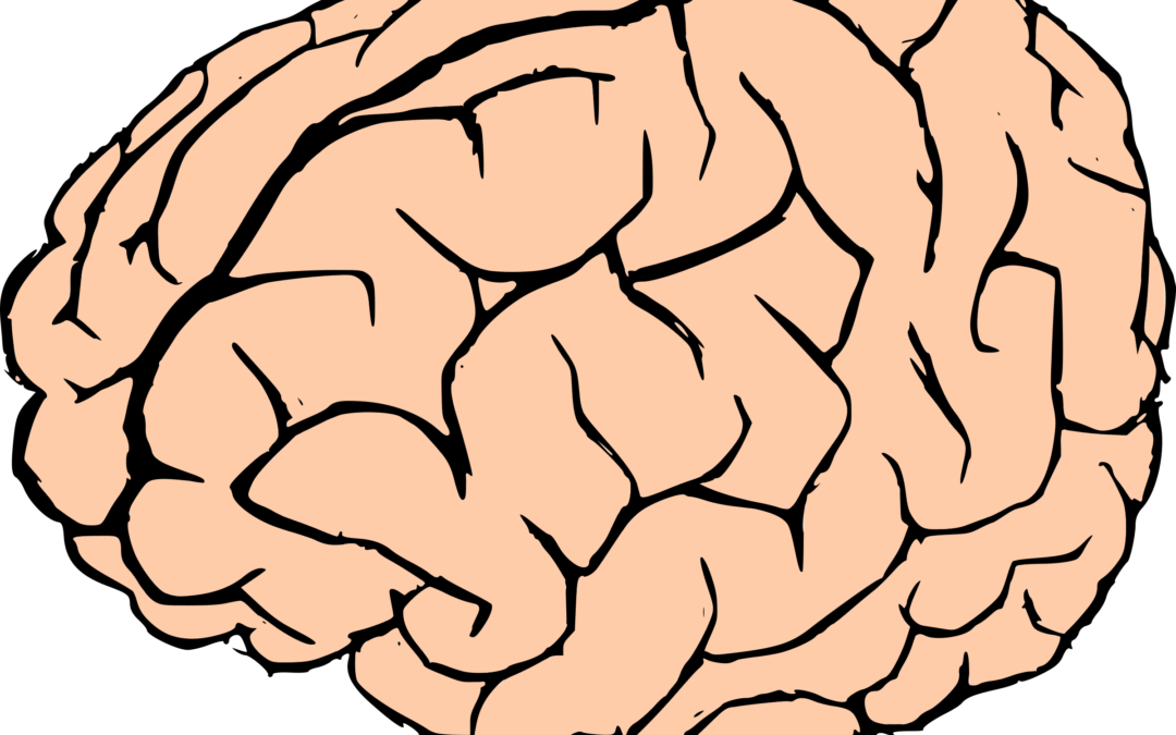 intelligent clipart brain memory