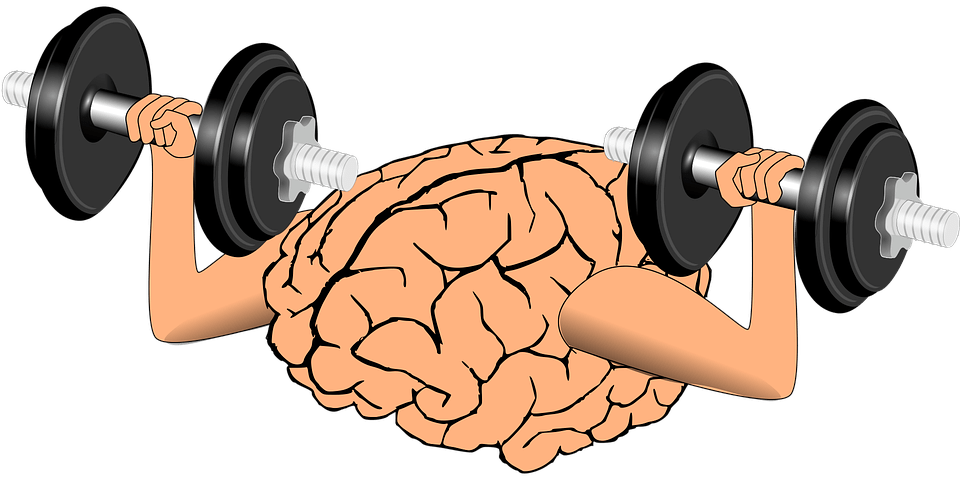 Dumbbell clipart exercise science. Improve your memory by