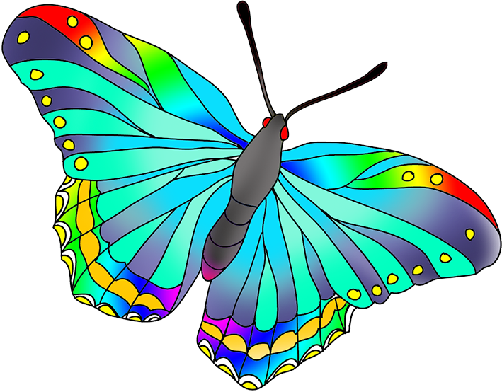 clipart butterfly realistic