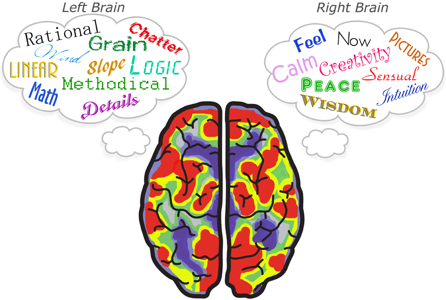 clipart brain distracted