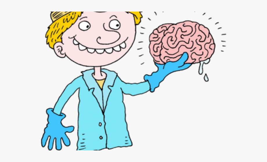 Clipart brain doctor. The free cliparts on