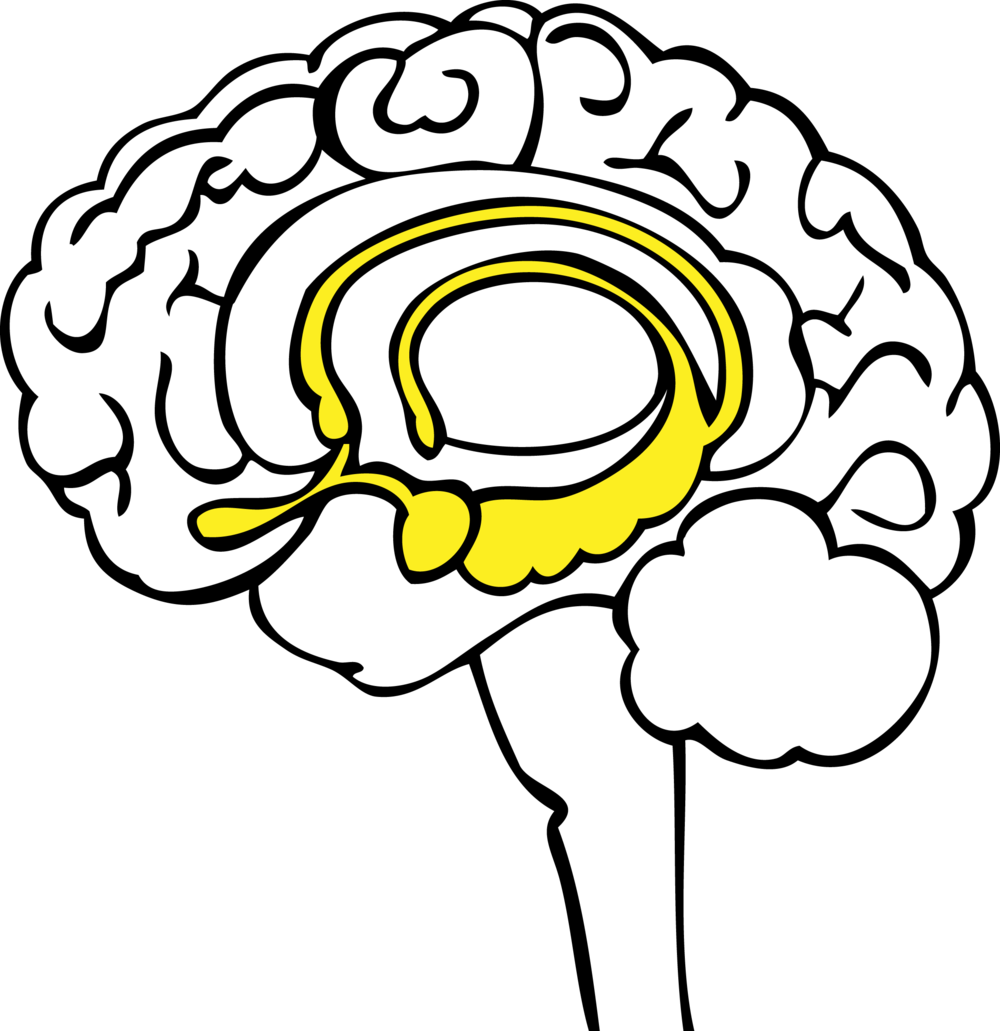 Brain building. Мозг рисовать. Yellow Brain. Черно белые эмодзи мозг в руках. Limbic Brain PNG.