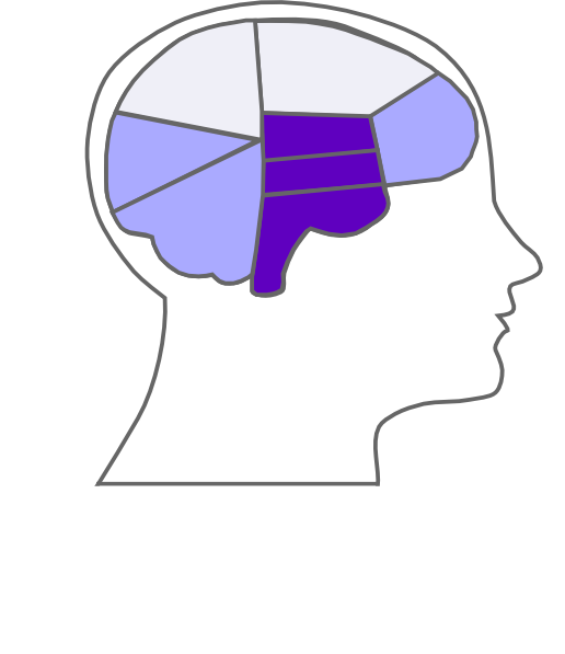 clipart brain medical