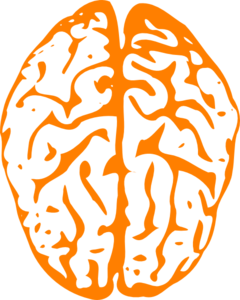 clipart brain orange
