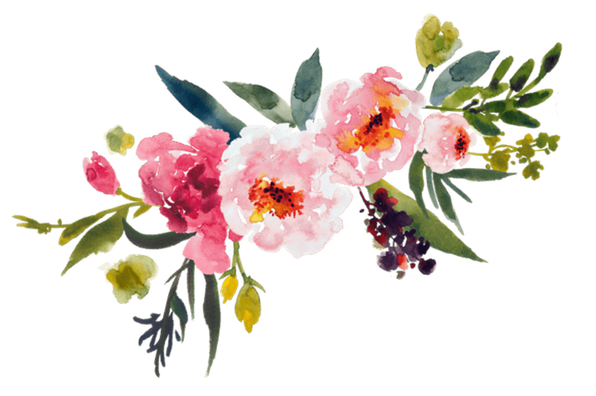 Peony clipart flower bunch. Watercolor painting bouquet clip