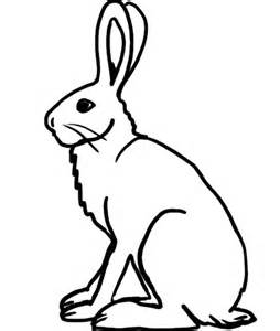 Clipart rabbit arctic hare. Free cliparts download clip