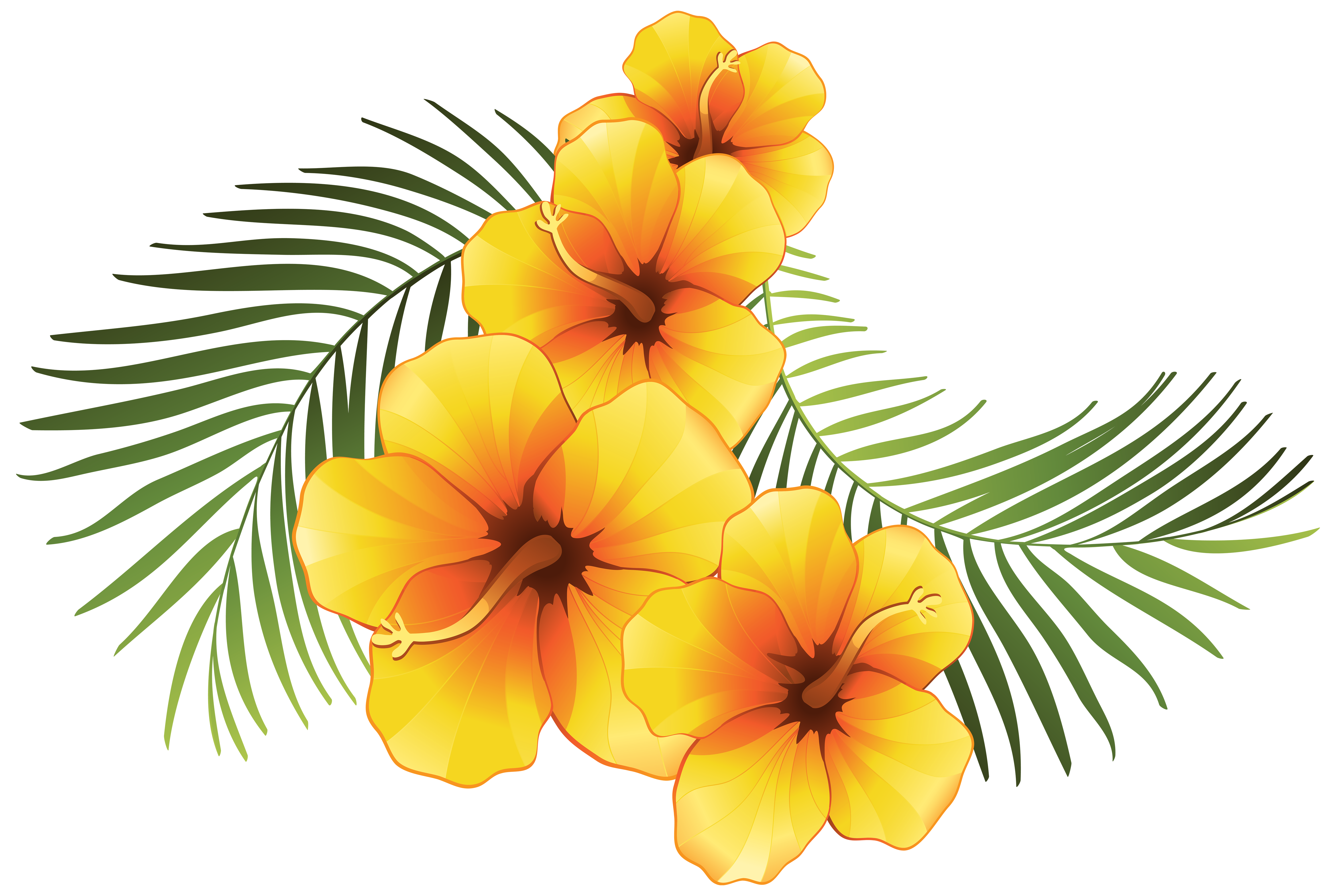 Hawaiian clipart plumeria hawaii. Exotic floral decoration transparent